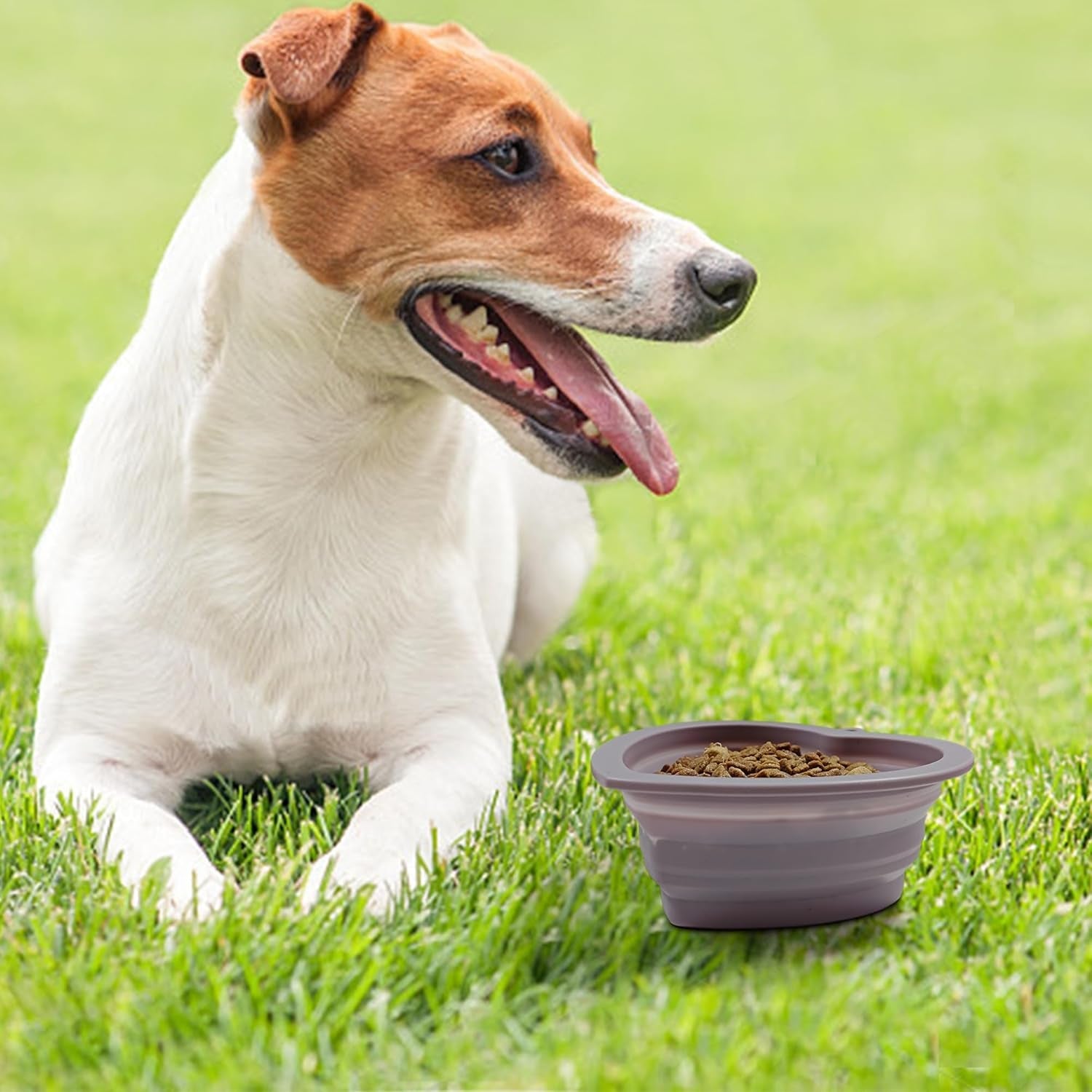 Fold Dog Bowls Silicone Love Shape, Portable Pet Feeding Watering Dish for Walking Parking Traveling(Dark Purple)
